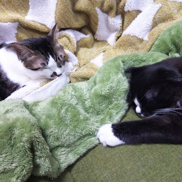 59c23df2 0744 4ae6 8cea d299e7a9b1ff 1644467675640