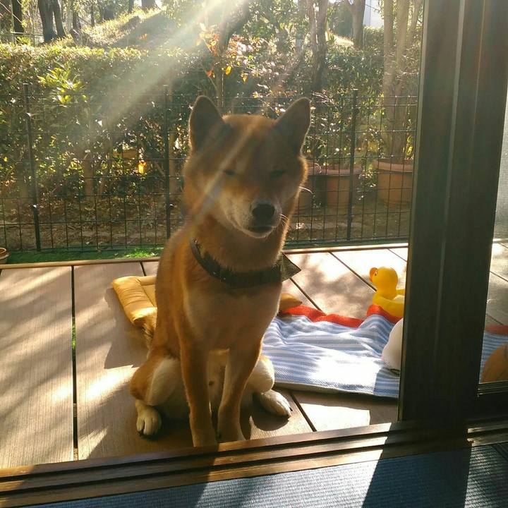 59c24328 bfe8 47a5 bbe0 2e930a2a1f7a 1513137253310