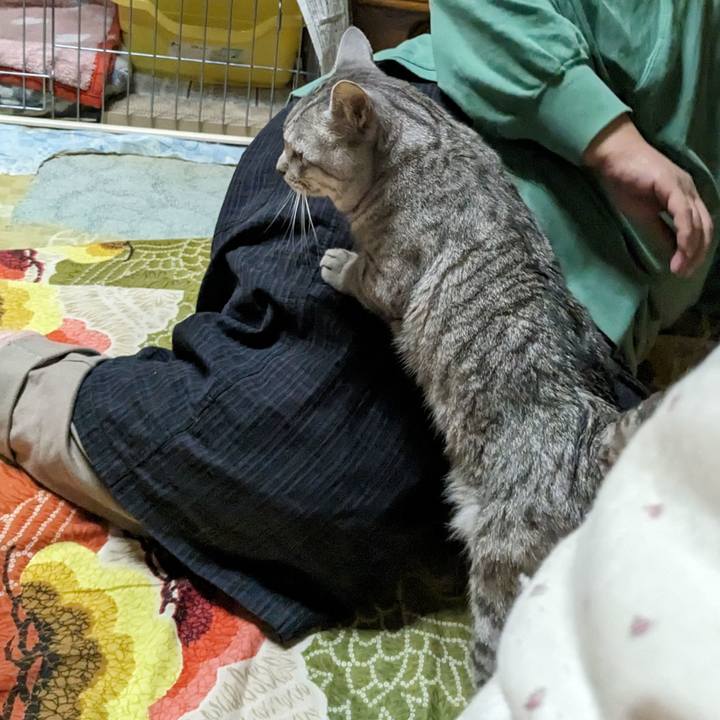 59c25acc 6128 4a45 9f43 93036e0dc751 1700216261202