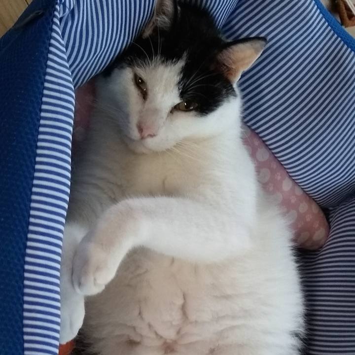 59c25d2f ae5d 4cb3 8ed8 c57261ac6ce5 1561891491874