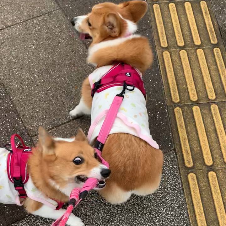 59c261b2 b22f 4bb9 80d5 6284ab8b8bdf 1602590685291