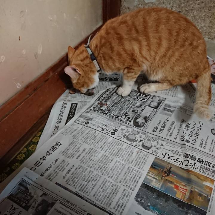 59c28dd9 68d4 432d 9a93 4215de2776c0 1590959411296