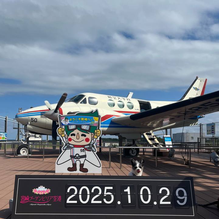 59c2a421 6e18 42bb 9dff abf854042a77 1761710798810