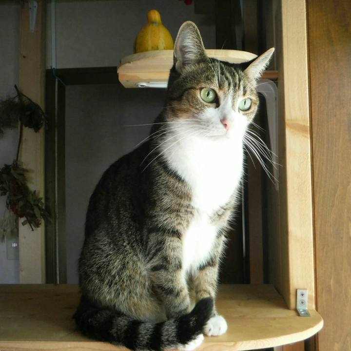 59c2a8f3 562e 4f33 b138 b9e8049dae18 1539131849788