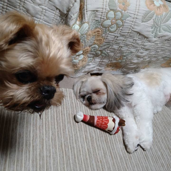 59c2d547 d91d 45ad 87ea f24942b350d6 1622379167288