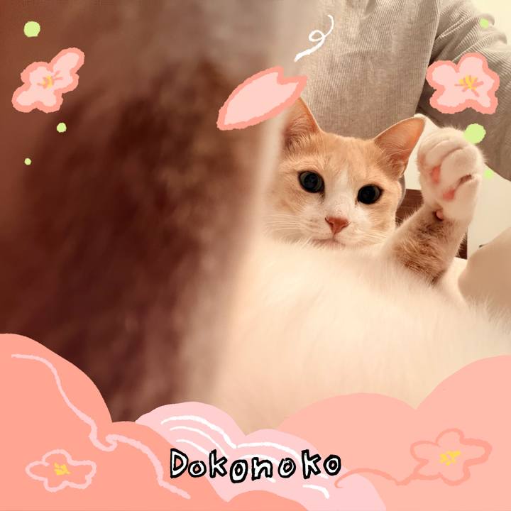 59c2da30 e5bd 436d a139 ae679dcbf165 1775279559792