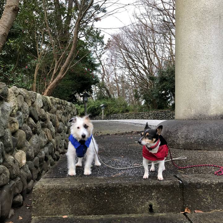 59c3049c ecb3 4b58 a026 72b27671c077 1546042697230