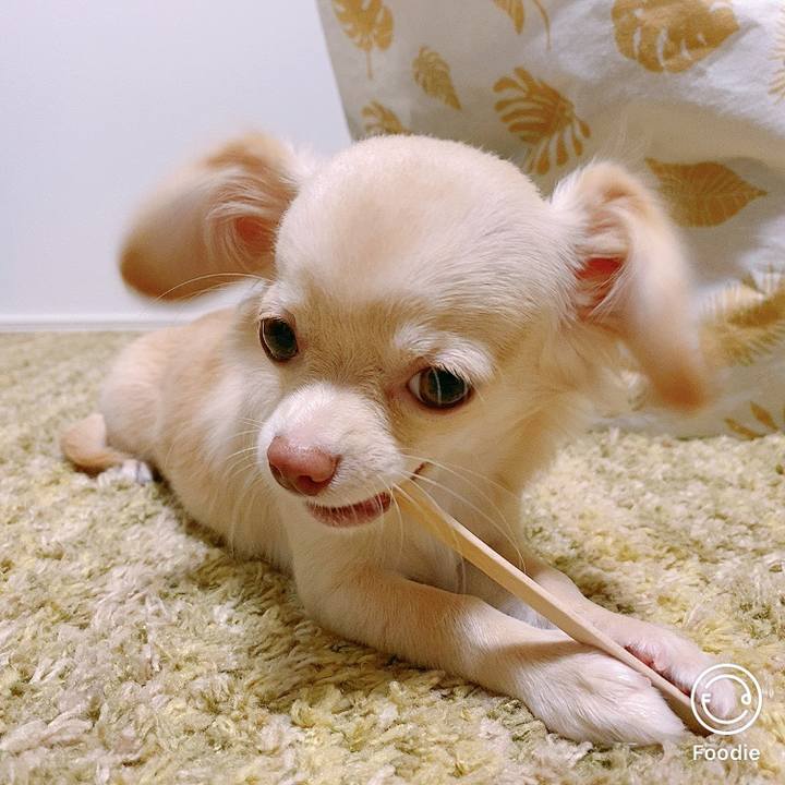 59c304dd a85d 4420 b7cc 8a8ea2234701 1598255866223