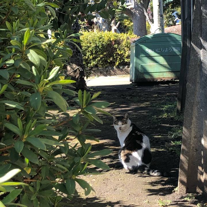 59c3285d 601c 469d b6e3 98b7842b4c60 1645974698898