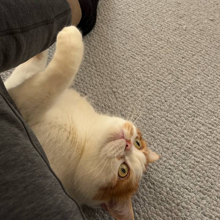 59c3767a 483d 413c 9f36 12a4778d3968 1772158852343