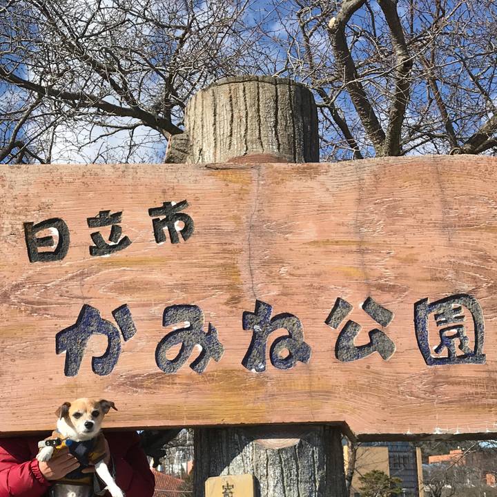 59c39a9e c66d 4579 be37 72afe4f39197 1581154737199