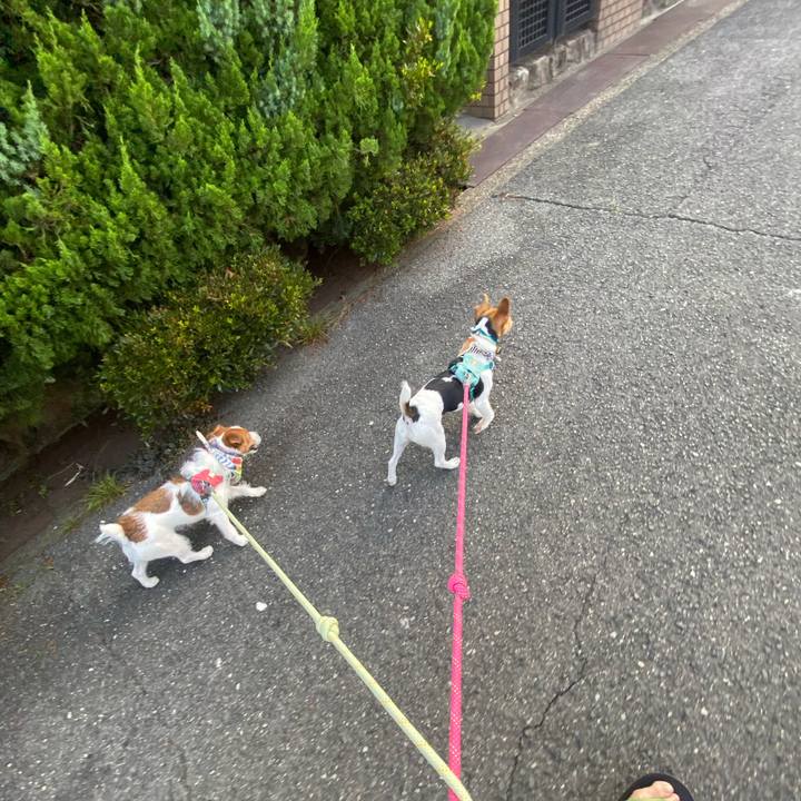 59c3ac4f 8b9f 474a 8387 9db53dd06a4c 1752015512167