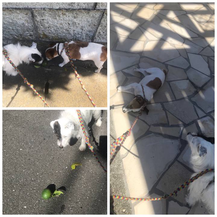 59c3ba0d e3da 4491 a37c 8c2e5d637ae3 1535154437824