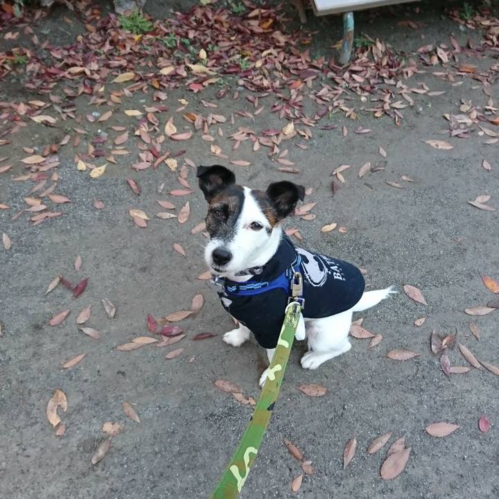 59c3d5b6 710d 414c b7e6 5f2c170c1cc2 1511473464369