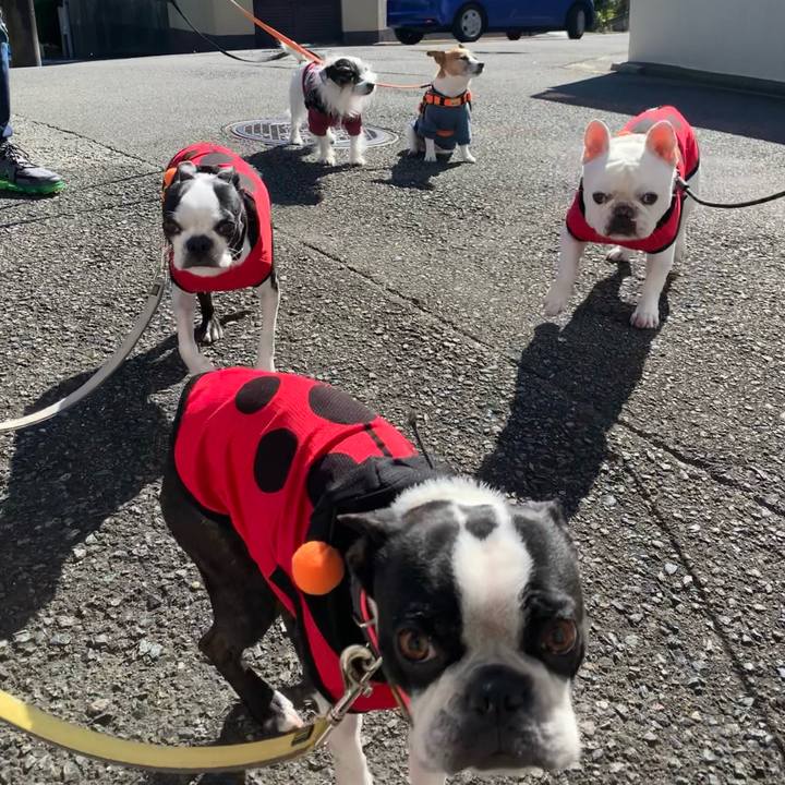 59c3efe9 cec2 4fae 8e46 fe5dcff9c098 1635472247861