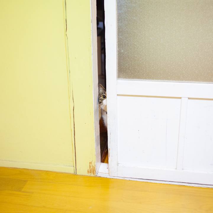 59c400d2 005b 4e1c 945e ecbd955aea25 1548936586522