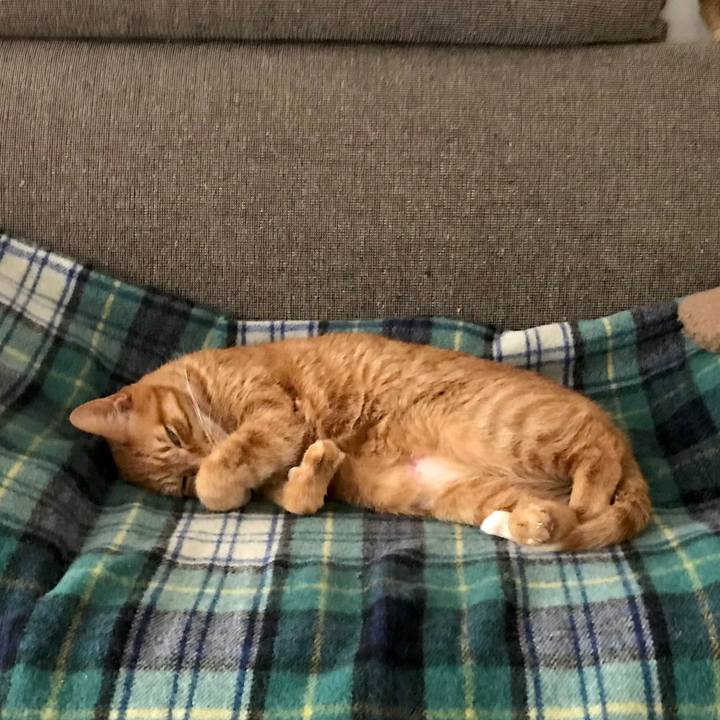 59c44a59 625b 4bab b105 6bc7ddb92c14 1517798833519