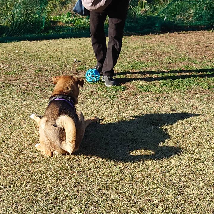 59c44bfa 72c3 4cca abfa 0e4e69cb8beb 1700356684062