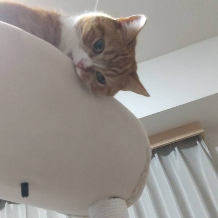 59c45f91 8297 4131 b02f a593846bcef2 1648550887818