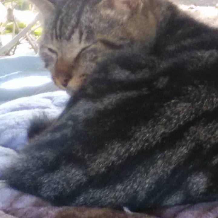 59c46853 750f 4fb2 ae08 f1157f8b9e1c 1572570510037