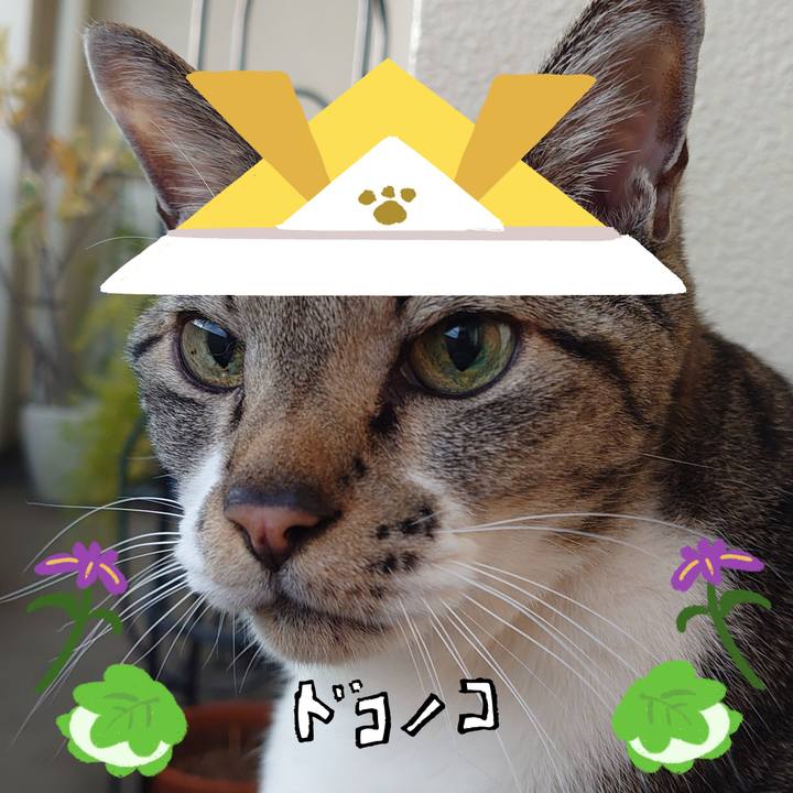 59c46c52 8bf7 4d6d 8274 8f68451b9a91 1714978568245