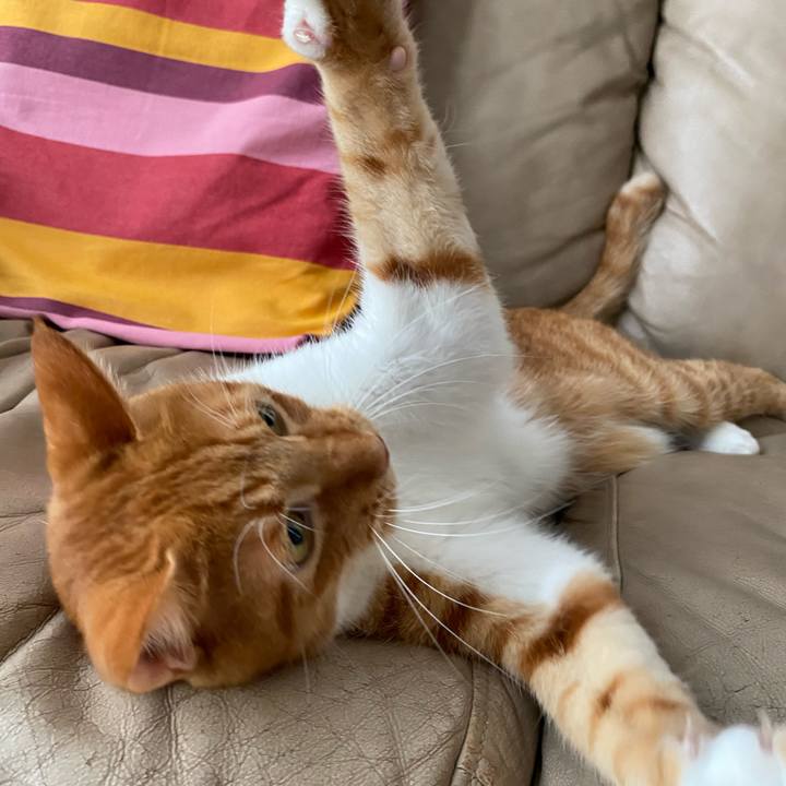 59c48a85 8f87 47e5 a64b 4769716d36fd 1598669158891