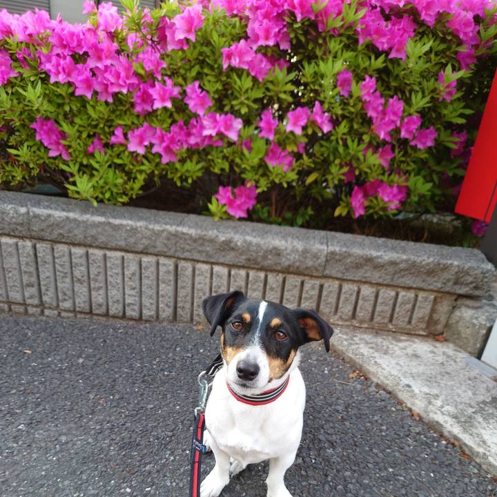 59c49e08 5fce 4fd9 bfd6 406865c2936b 1681899672284