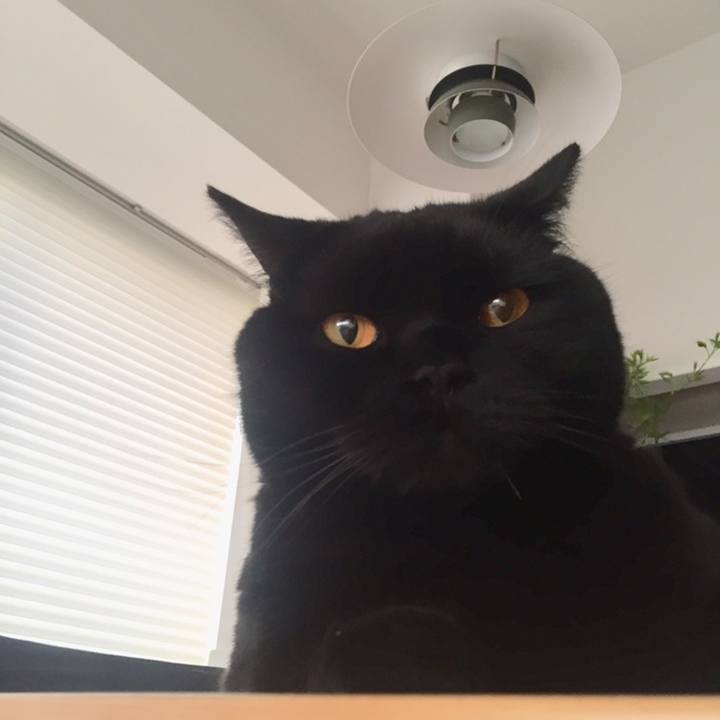 59c4aa74 7965 4ab8 9f92 65ee461f990e 1558690211284