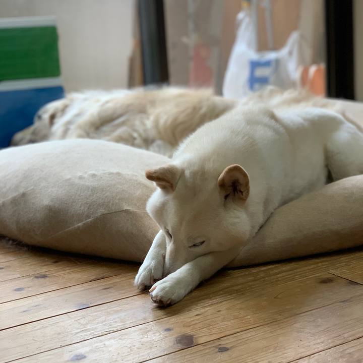 59c4bfb4 cf5d 4027 bbaf 9570eadcefbf 1585528094476