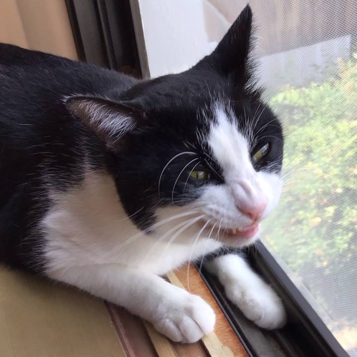 59c51c6d 152a 4083 88a5 cc139dedd228 1723268035657