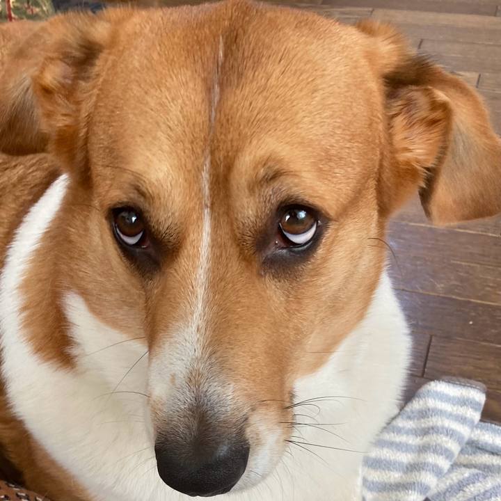 59c5594f 91a7 4296 b17b 616c3ed4237f 1700877203800