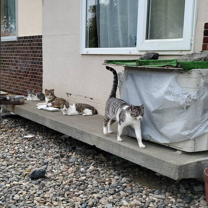 59c591be 7f6b 41ef b512 e11ec7bdf684 1717554786520