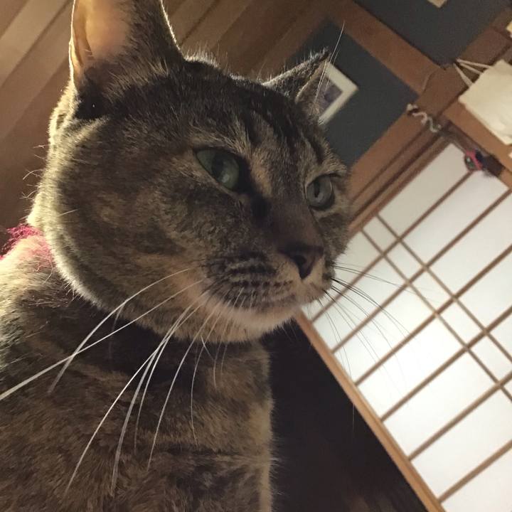 59c5c6b9 9d8f 489c 9336 456eeba5af1a 1706270110479