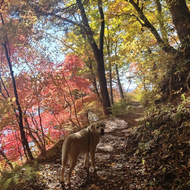 59c5cf2d ce2c 4100 8c52 7b934b129ee4 1698646021828