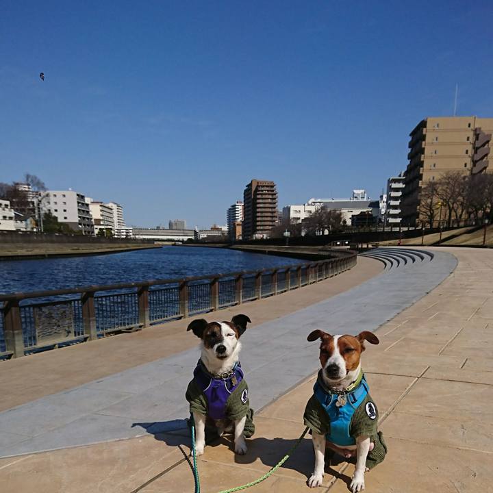 59c5dde1 856c 4da8 9cf8 2b4e69788d11 1614403531438