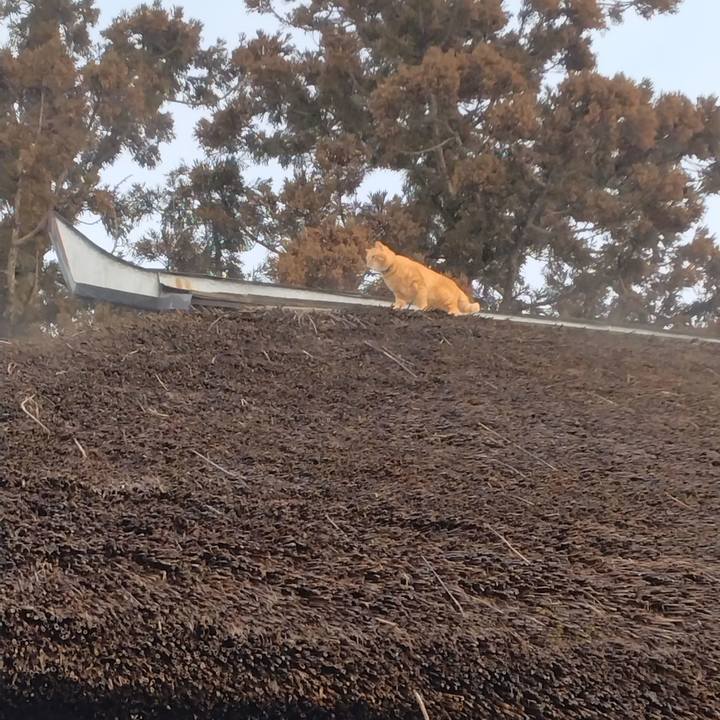 59c5e32b 60b5 4b31 8a2e 645e0e412390 1675817029888