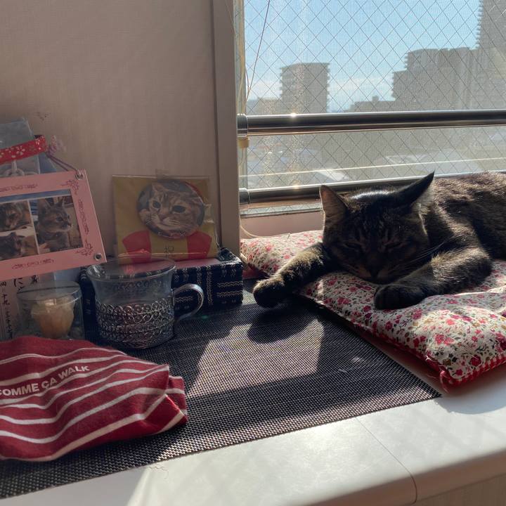 59c6083b 4524 453f 8d18 69b275016f4b 1612592605552