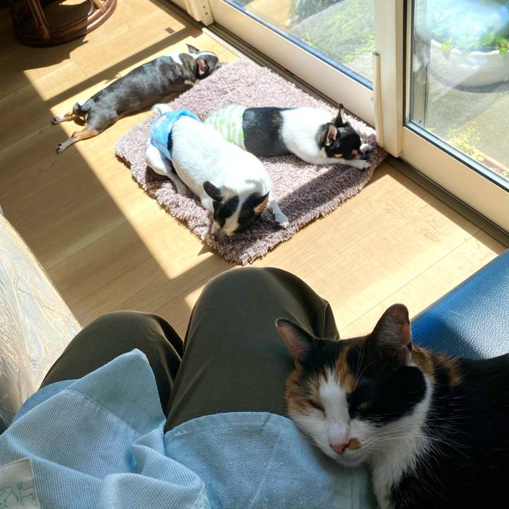 59c62b39 21fe 4848 a2fc 1226cf64a98a 1629341240623