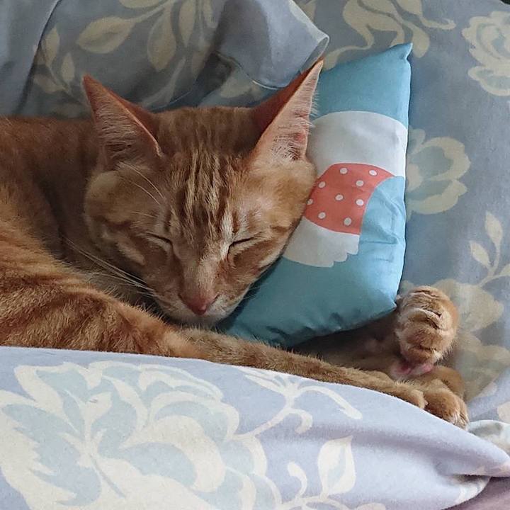 59c6395f 62b1 4238 86a0 15a3d9b3b918 1683101818701