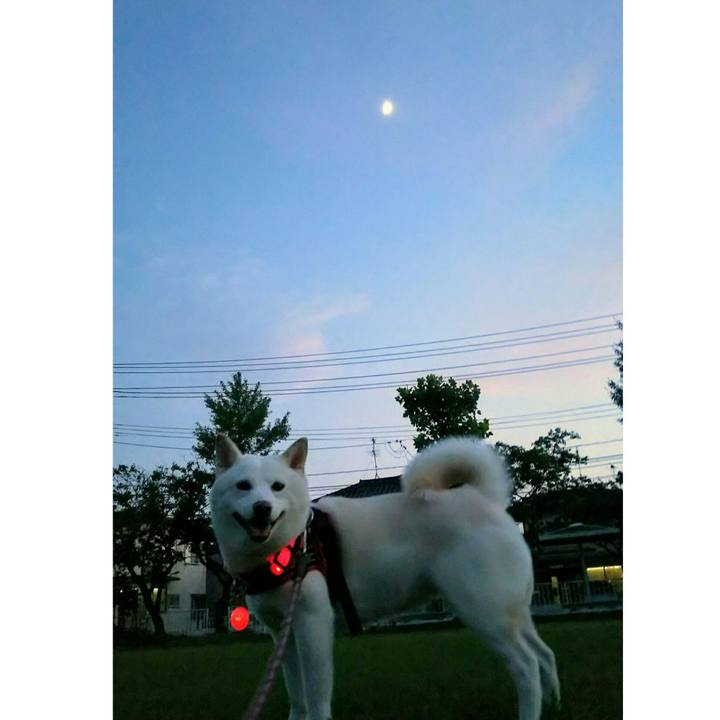 59c63dfa 0f27 42c4 b12d ee9f916aa950 1531997889519