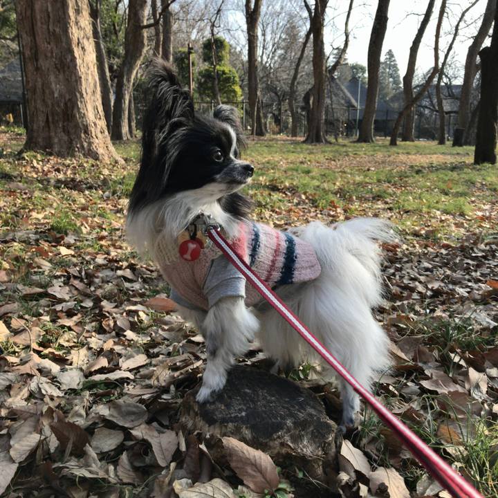 59c65d89 0753 4f78 a4ae 5a25b29dd994 1518222917145