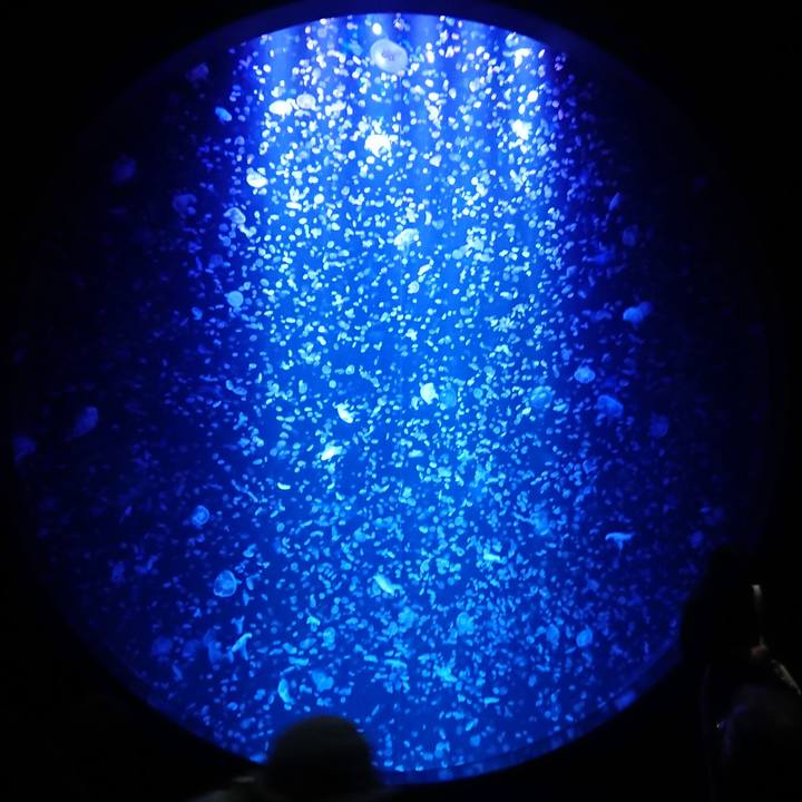 59c67a50 bd5f 40ad b920 172b888a644c 1605510534833