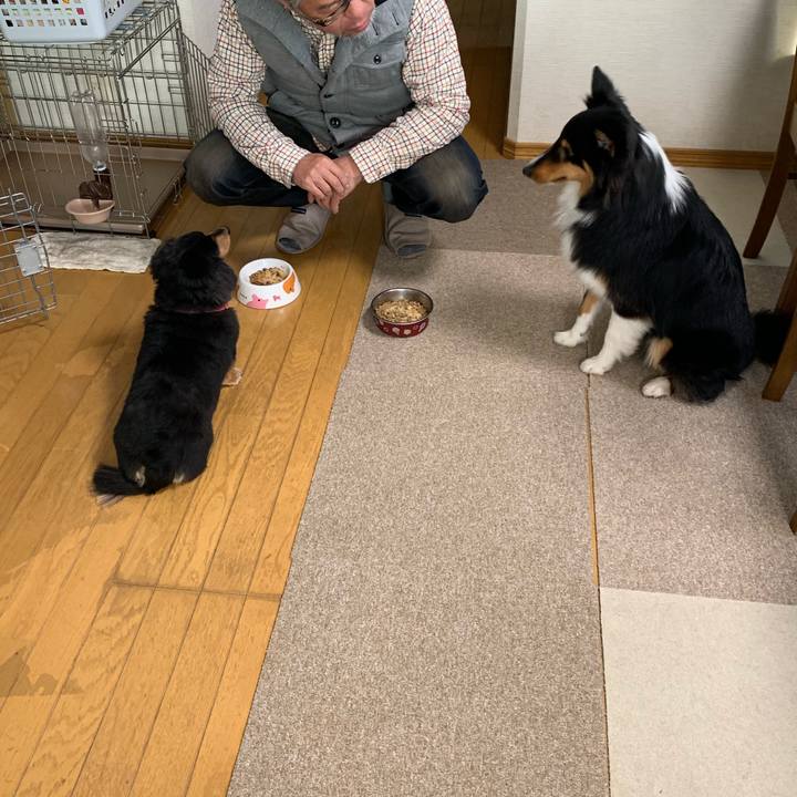 59c68e20 d37c 4e33 920d 59d8dd14e2e4 1546487041030