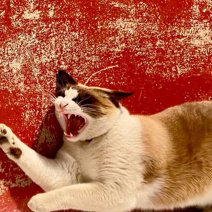 59c6b7ba aee0 4882 acca dddad4f7f67a 1735953623190