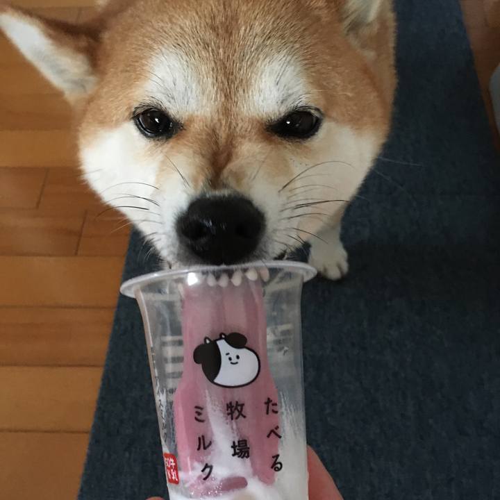 59c6cd9e e4e7 4e45 a23b 7d4a36f14a42 1595572839123