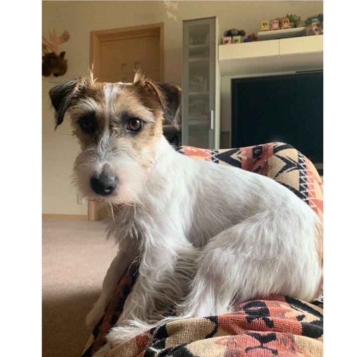 59c7166b 51d9 4fe1 be08 555bfb868c02 1594788371941