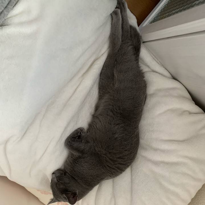 59c723c0 d759 45cc a0bf 0fccbb26e80f 1582493851521