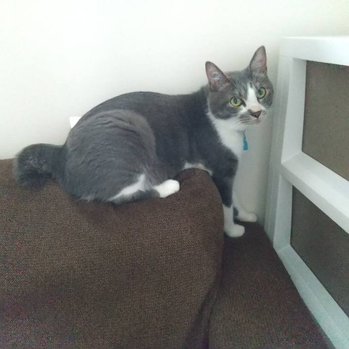 59c77014 c166 48bf b262 29dc61a5b4c0 1621148534067