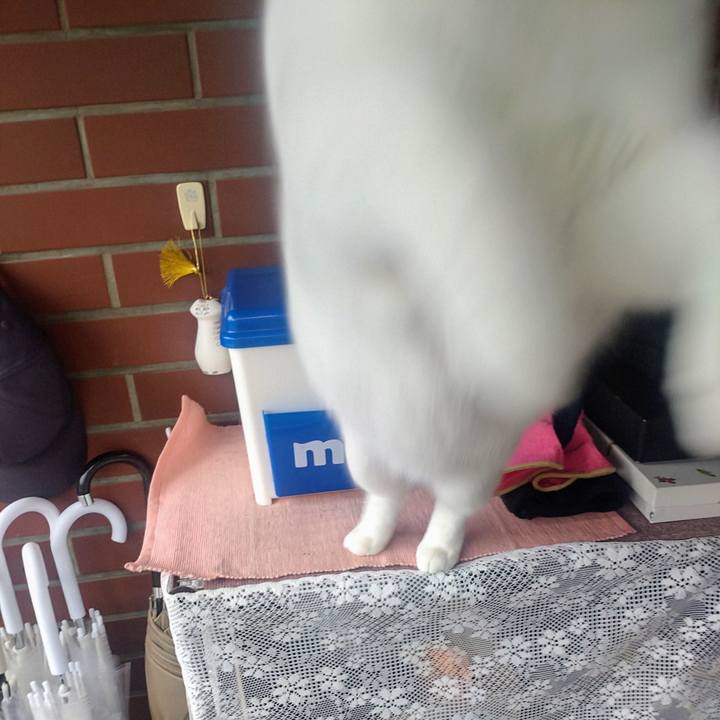 59c798ed 39fb 41d1 9d56 aa627d7b250d 1742605200580