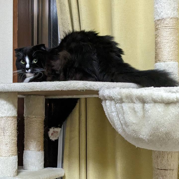 59c7cc1a f9c3 41f7 b713 428eb7b74f61 1711797693718